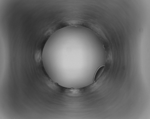 X0000112200478200908211544