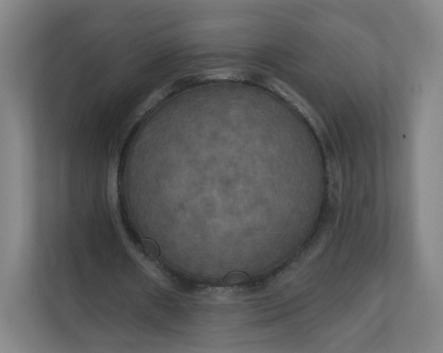 X0000112200482200908211543