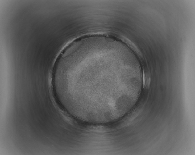 X0000112200483200908211543