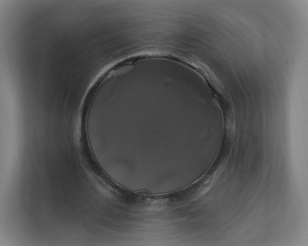 X0000112200484200908211543