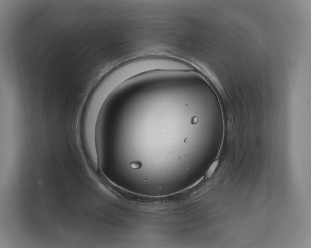 X0000112200485200908211543