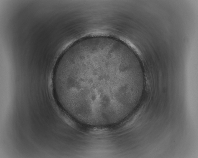 X0000112200487200908211543