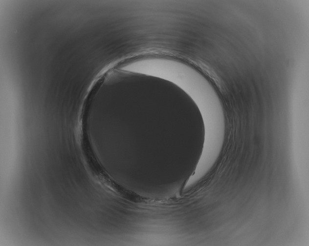 X0000112200488200908211543