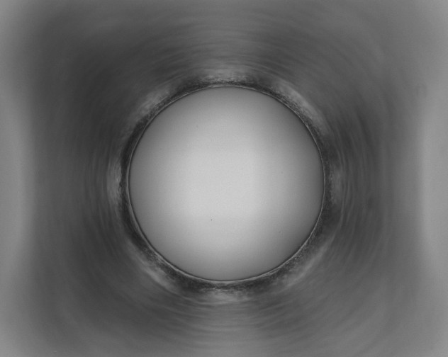 X0000112200490200908211543