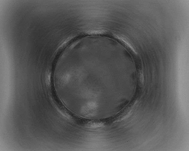 X0000112200491200908211543