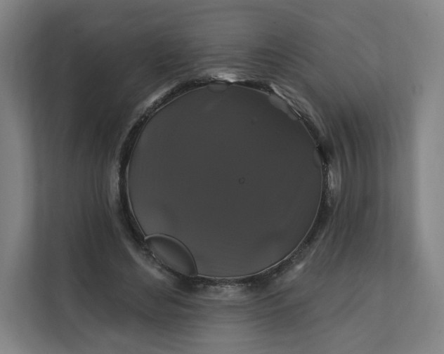 X0000112200492200908211543