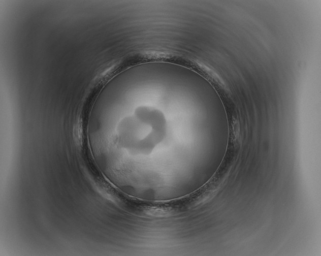 X0000112200494200908211543