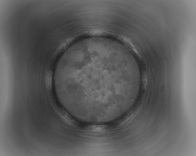 X0000112200495200908211543