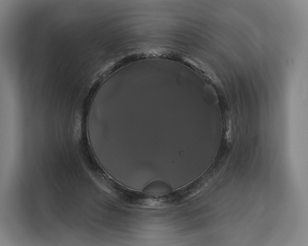 X0000112200496200908211543