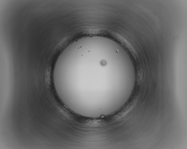 X0000112200497200908211543