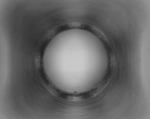 X0000112200498200908211543