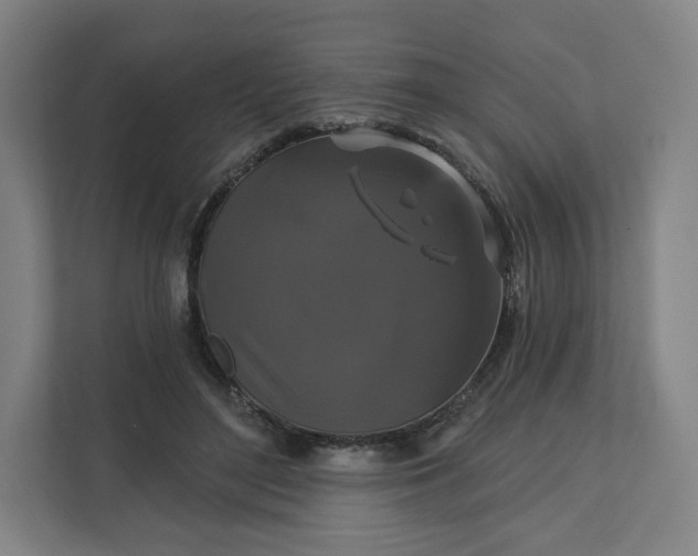 X0000112200500200908211543