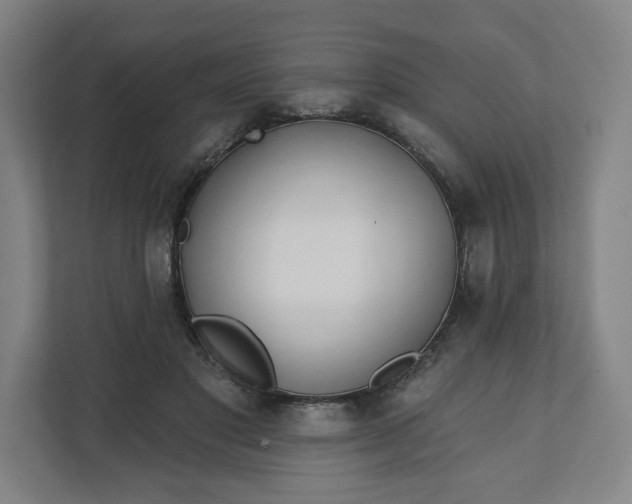 X0000112200501200908211543