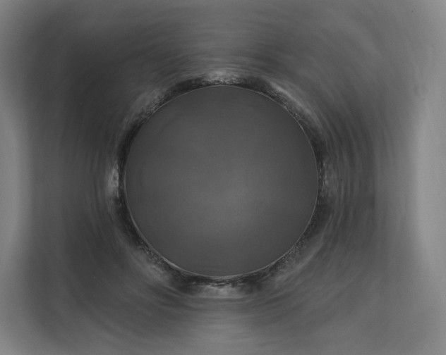 X0000112200502200908211543