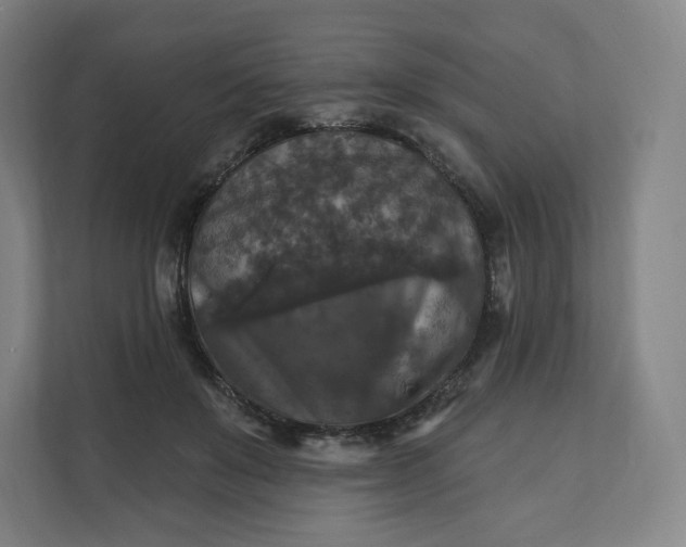 X0000112200503200908211543