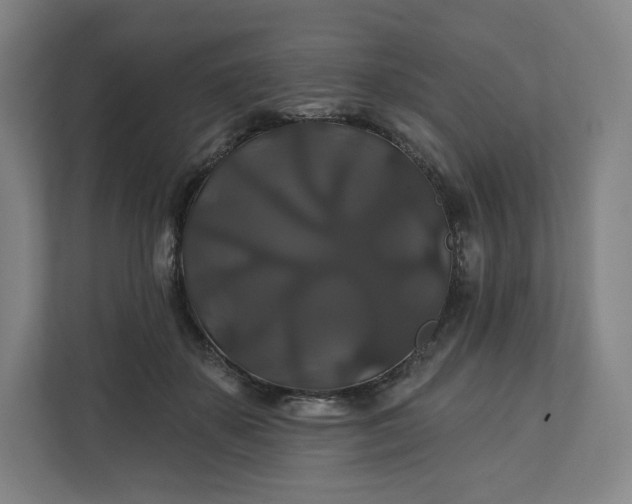 X0000112200507200908211543