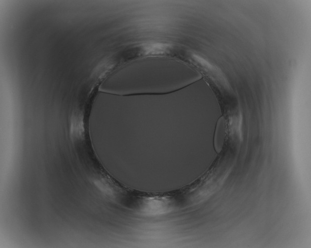 X0000112200508200908211543