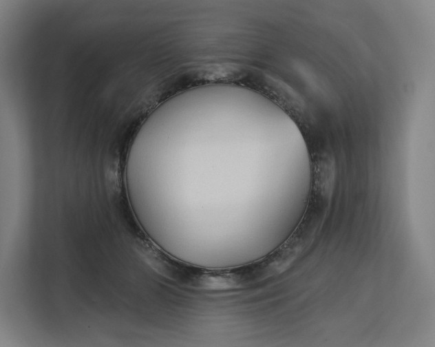 X0000112200510200908211543