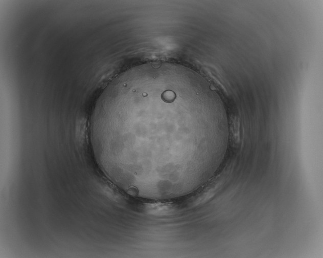 X0000112200511200908211543