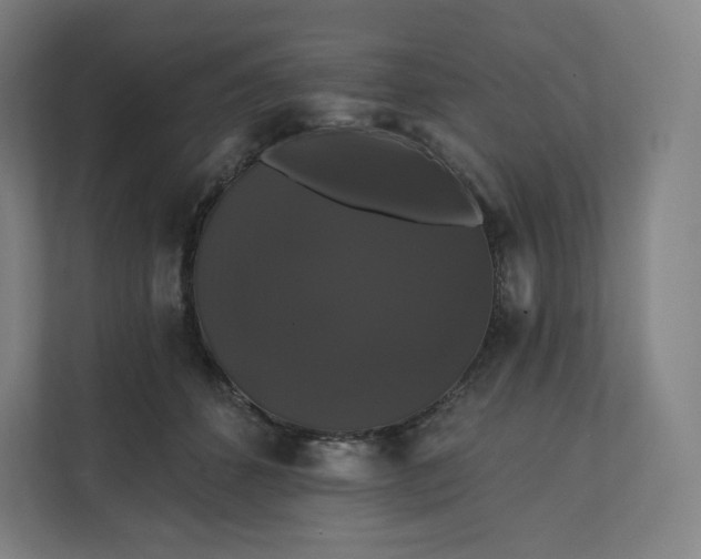 X0000112200512200908211543