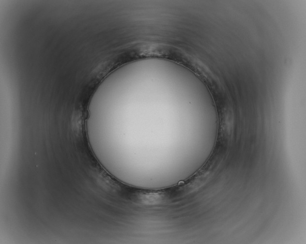 X0000112200513200908211543