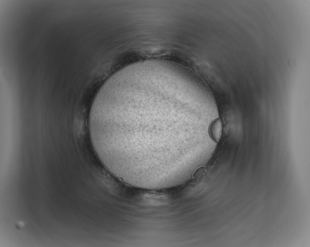 X0000112200515200908211543