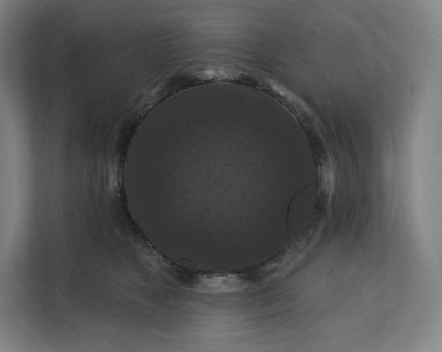 X0000112200517200908211543