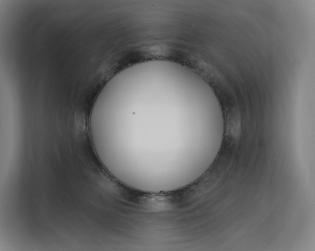 X0000112200518200908211543