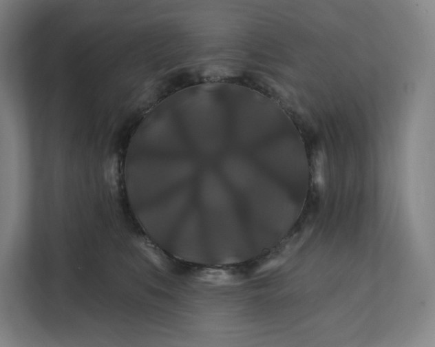 X0000112200519200908211543