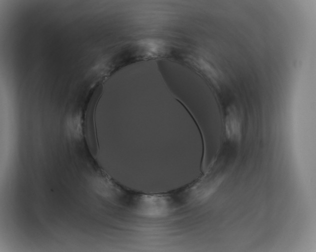 X0000112200520200908211543