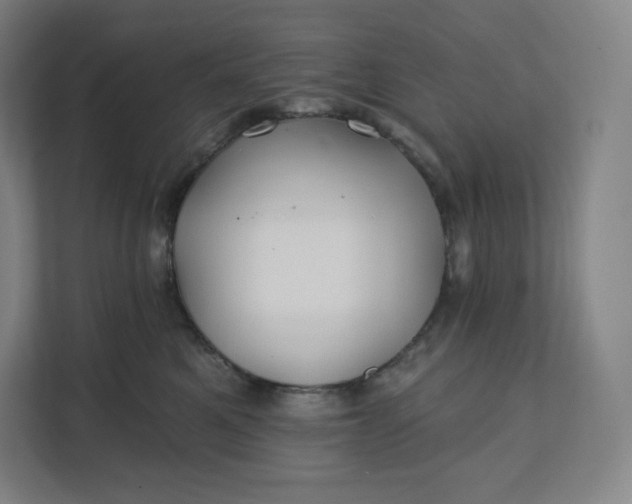 X0000112200521200908211543