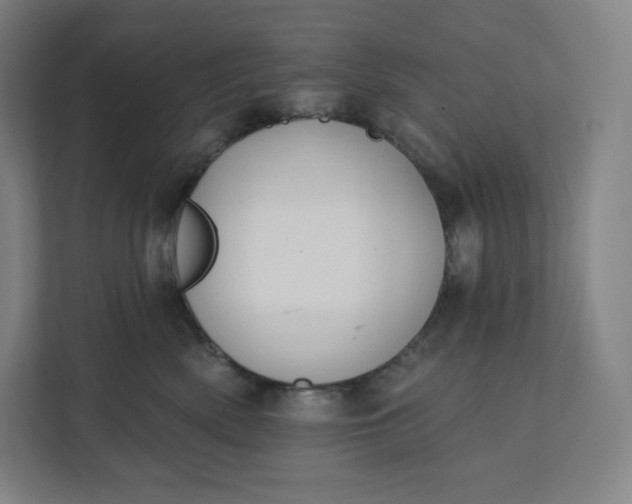 X0000112200522200908211543