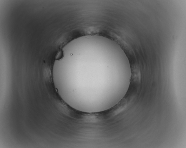 X0000112200523200908211543