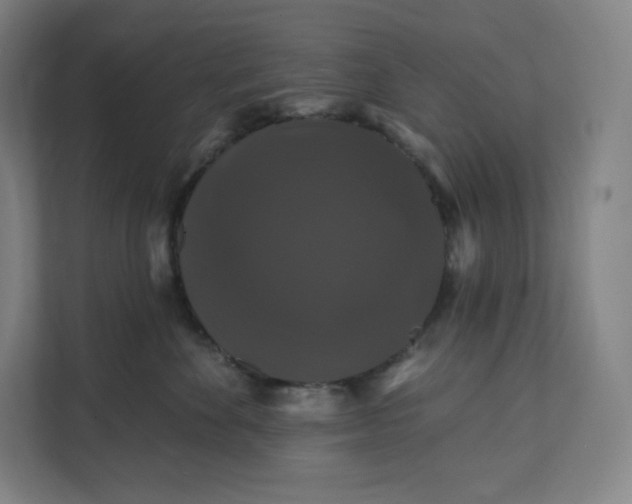 X0000112200524200908211543