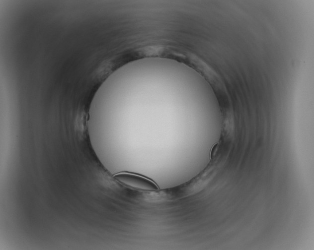 X0000112200525200908211543