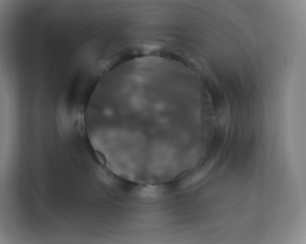 X0000112200527200908211543