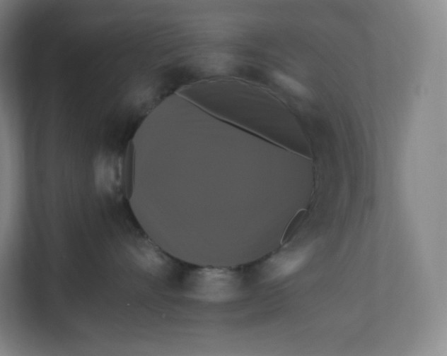 X0000112200528200908211543