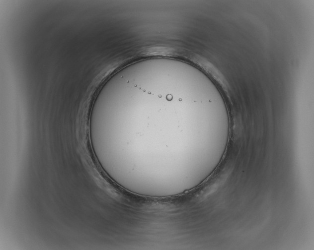 X0000112200529200908211542