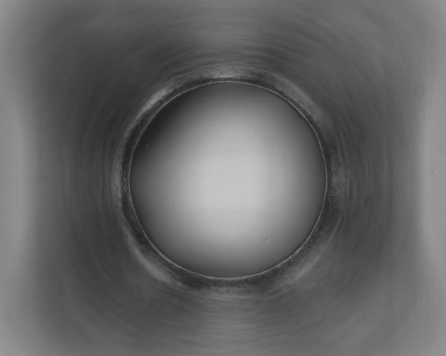 X0000112200530200908211542