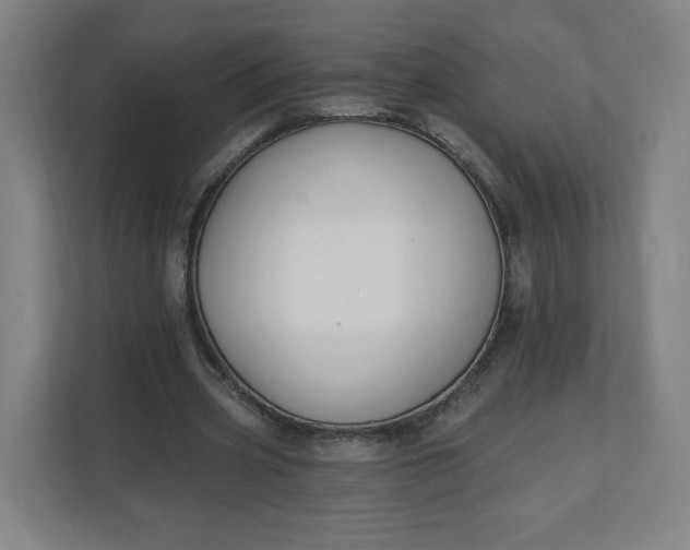 X0000112200533200908211542