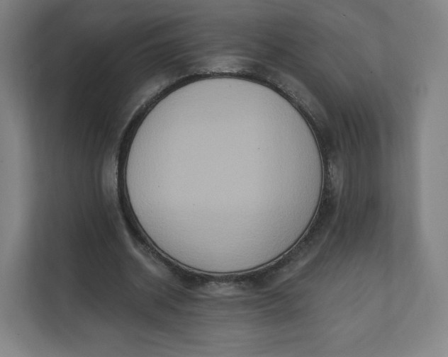 X0000112200534200908211542