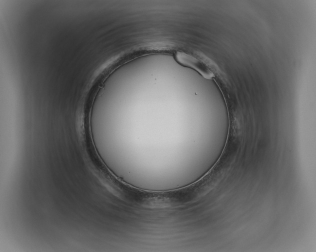 X0000112200535200908211542