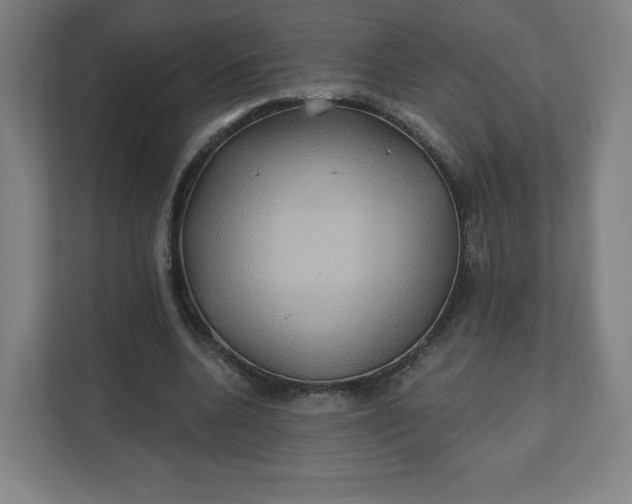 X0000112200536200908211542