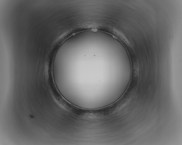 X0000112200538200908211542