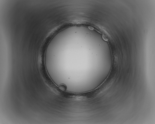 X0000112200539200908211542