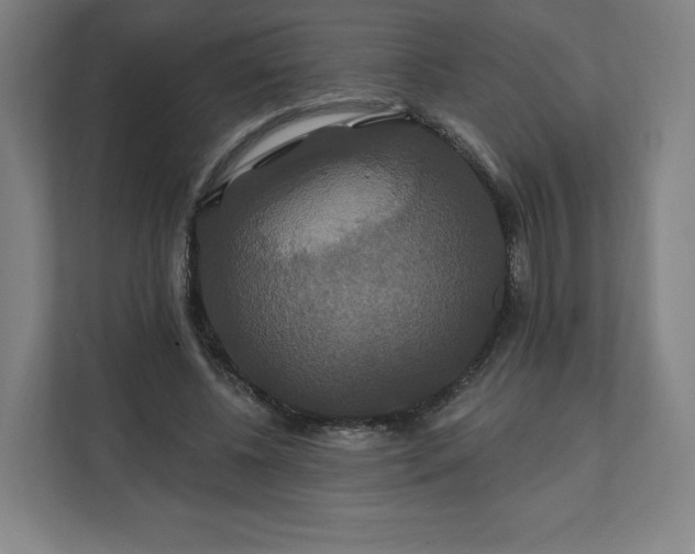 X0000112200540200908211542