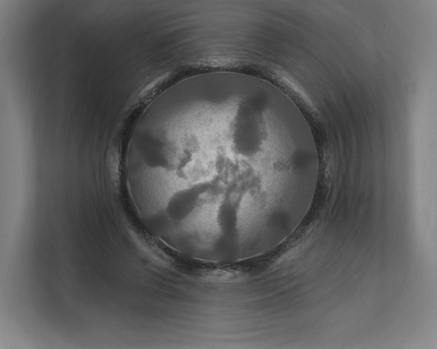 X0000112200542200908211542