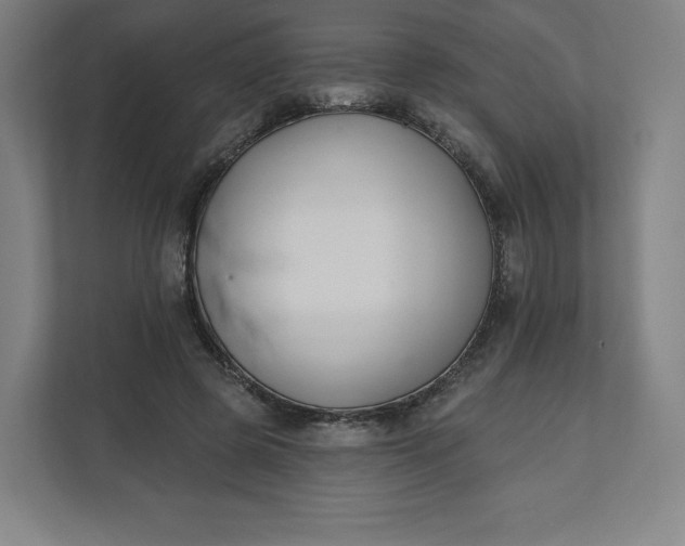 X0000112200545200908211542