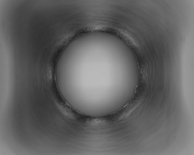 X0000112200546200908211542