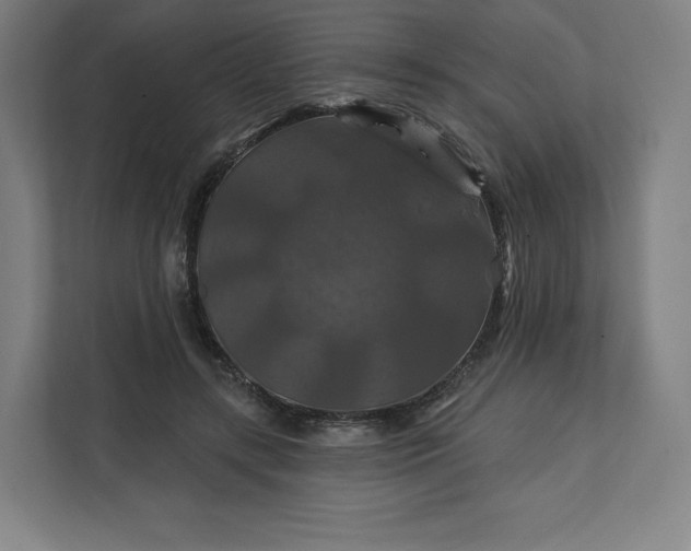 X0000112200547200908211542